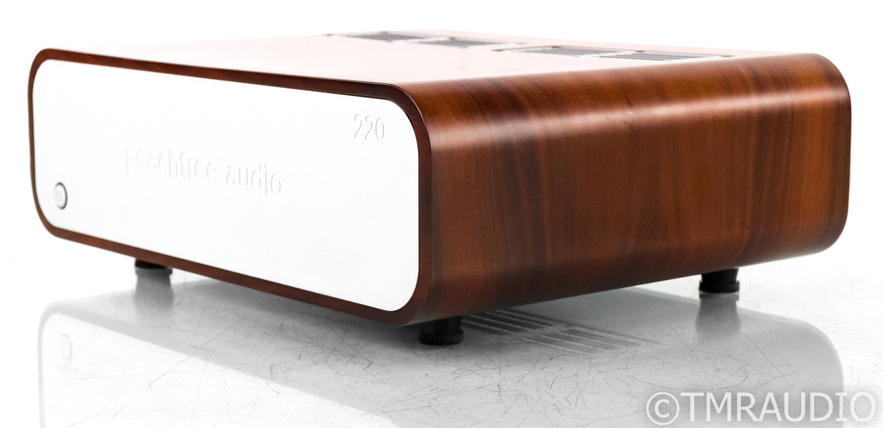 Peachtree Audio 220 Stereo Power Amplifier