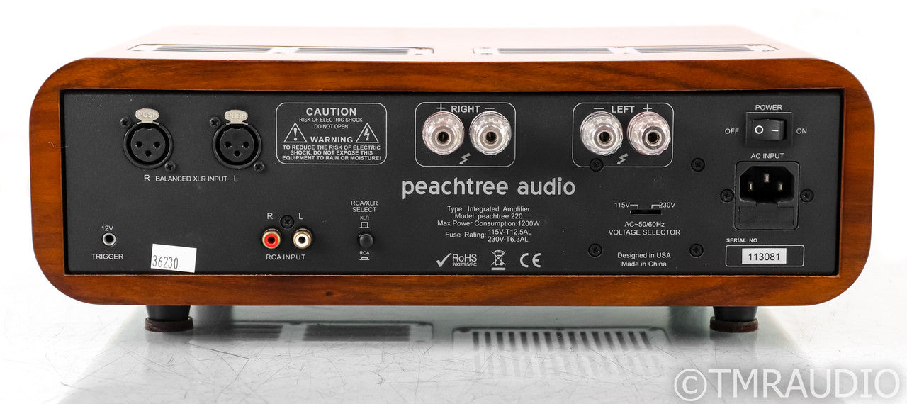 Peachtree Audio 220 Stereo Power Amplifier