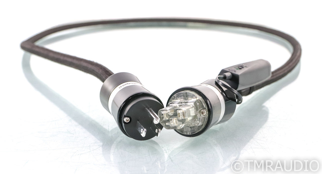 AudioQuest NRG-1000 Power Cable