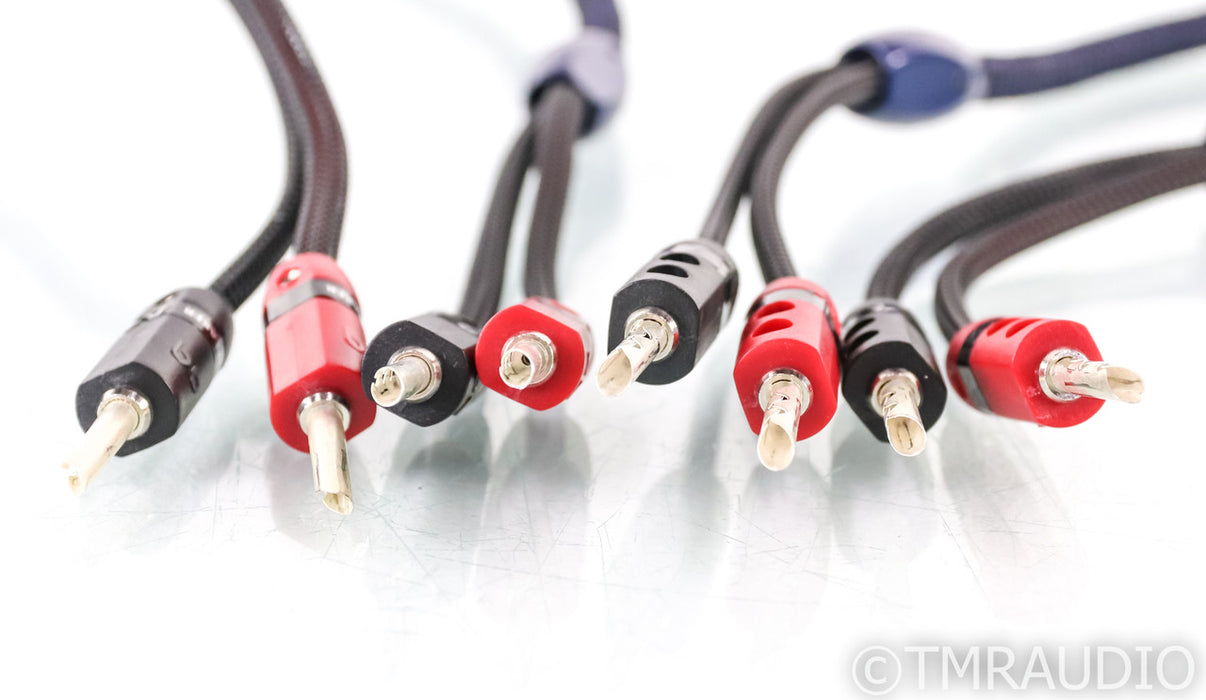 AudioQuest Type 4 Speaker Cables