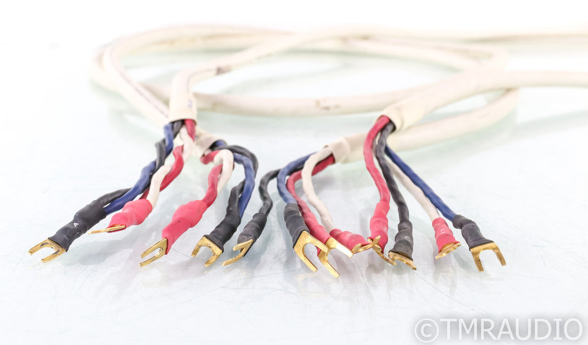 Tara Labs RSC Prime Speaker Cables