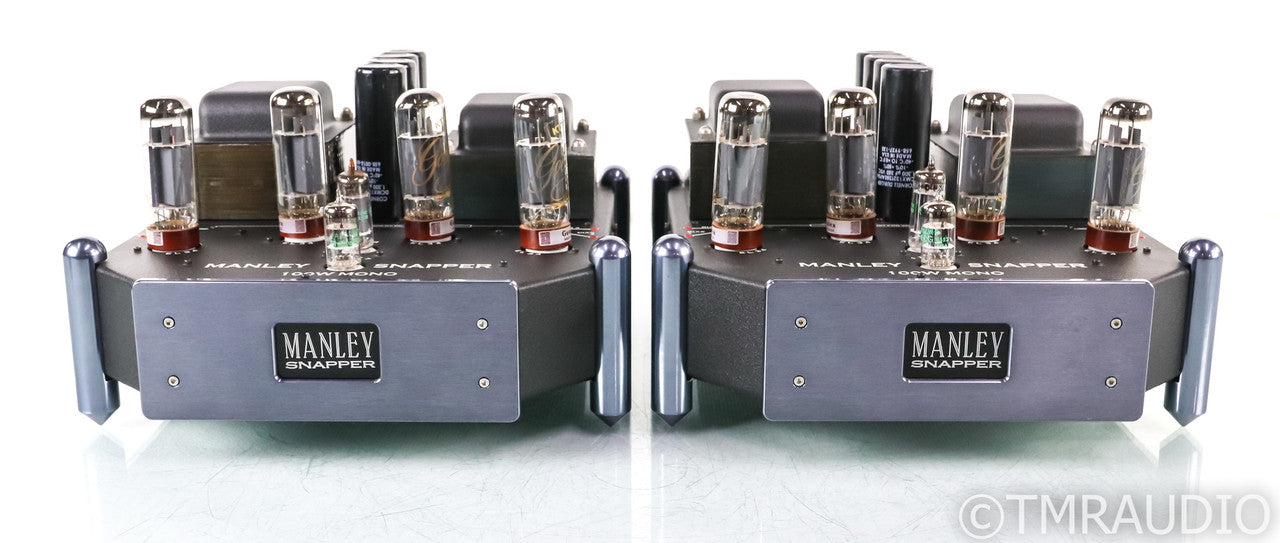 Manley Snapper Mono Tube Power Amplifier