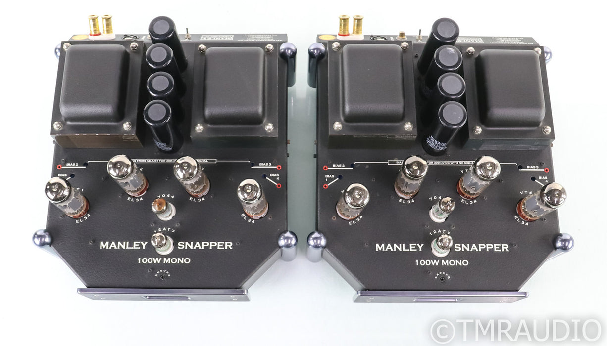 Manley Snapper Mono Tube Power Amplifier