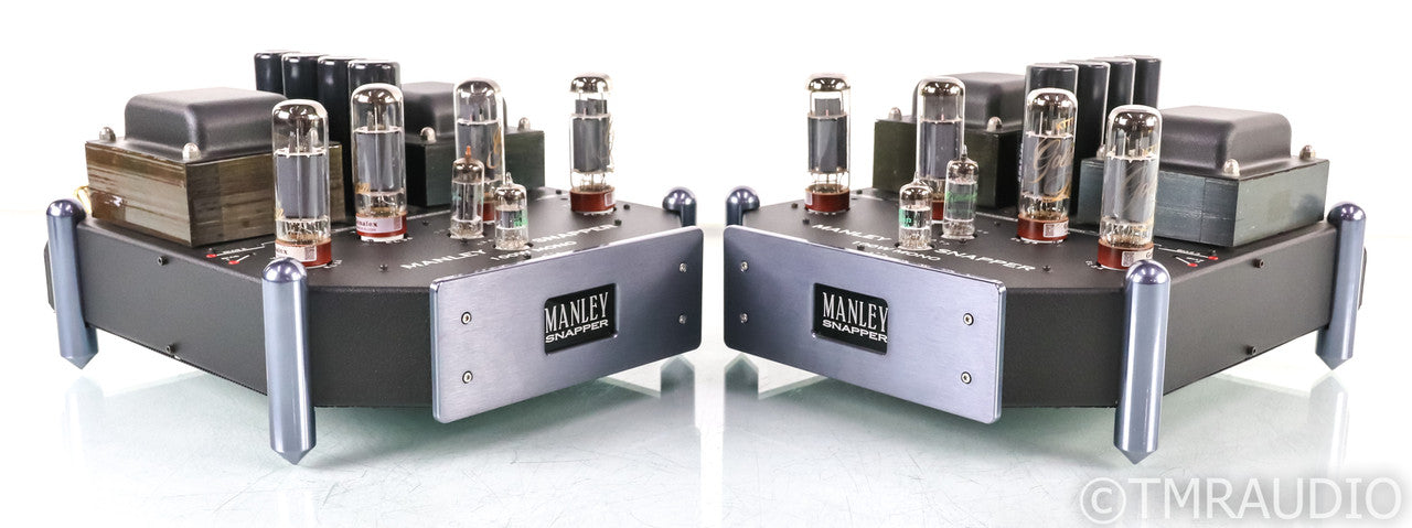 Manley Snapper Mono Tube Power Amplifier