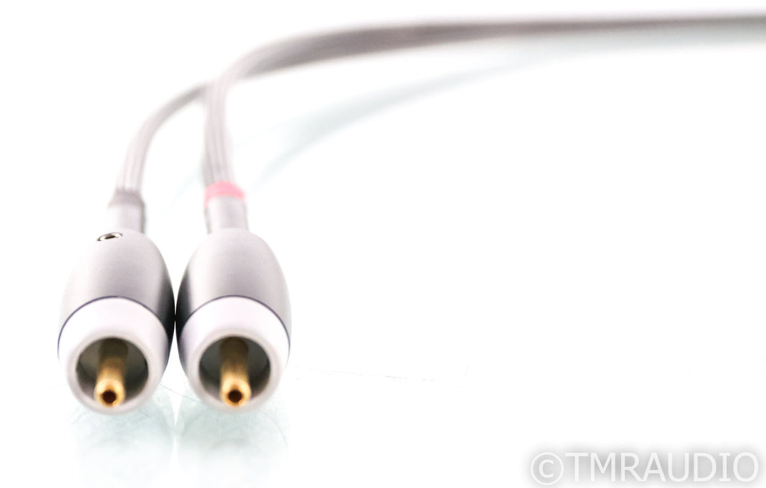 Audience Au24 SE RCA Cables