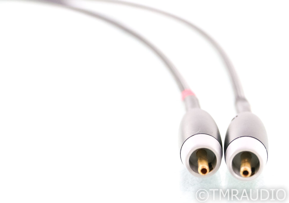 Audience Au24 SE RCA Cables