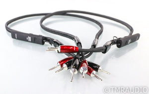 AudioQuest K2 Speaker Cables