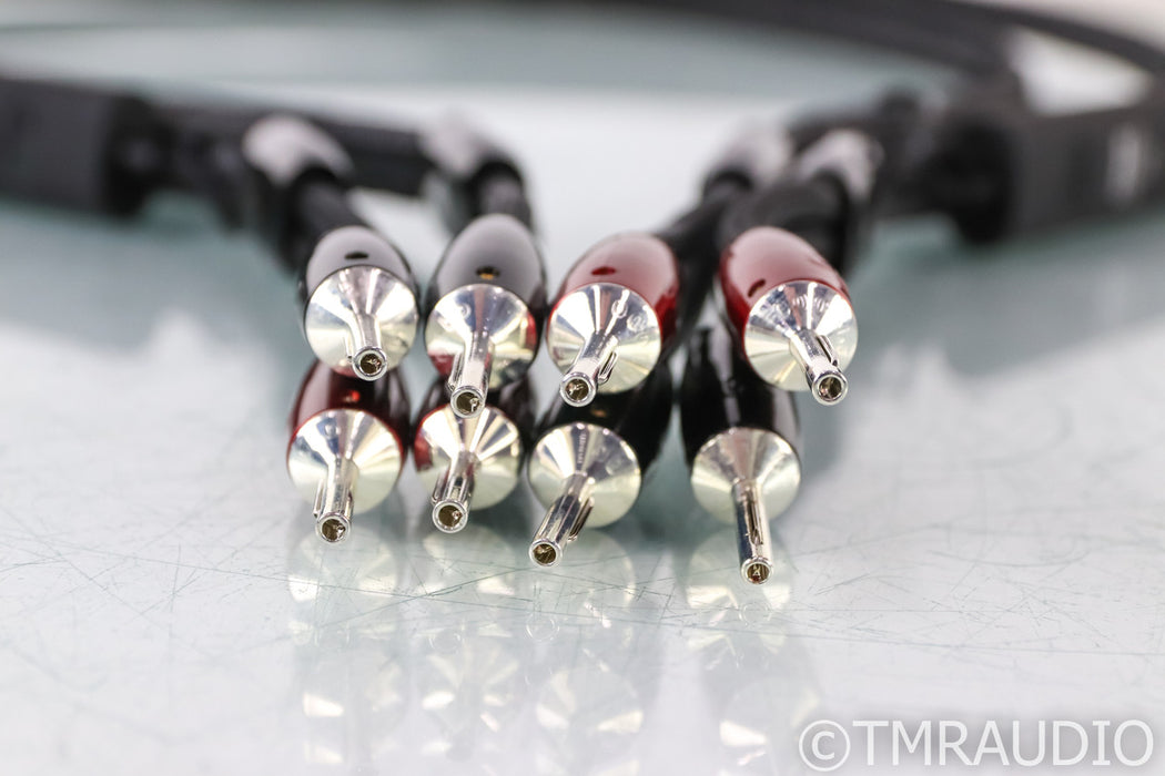 AudioQuest K2 Speaker Cables