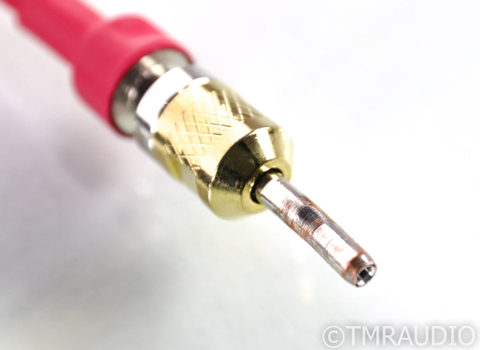 Triode Wire Labs American Series Speaker Cables
