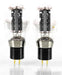Takatsuki 300B Vacuum Tubes
