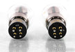 Takatsuki 300B Vacuum Tubes