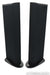 GoldenEar Triton Two Floorstanding Speakers