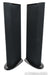 GoldenEar Triton Two Floorstanding Speakers