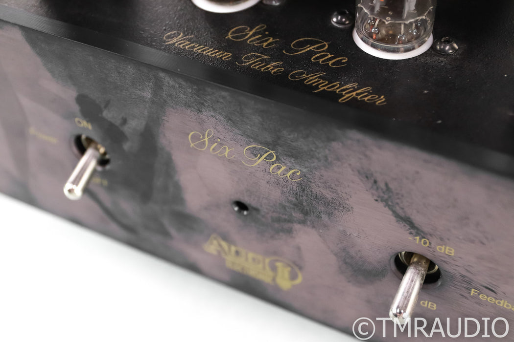 Audio Electronic Supply Six Pac Mono Tube Power Amplifier