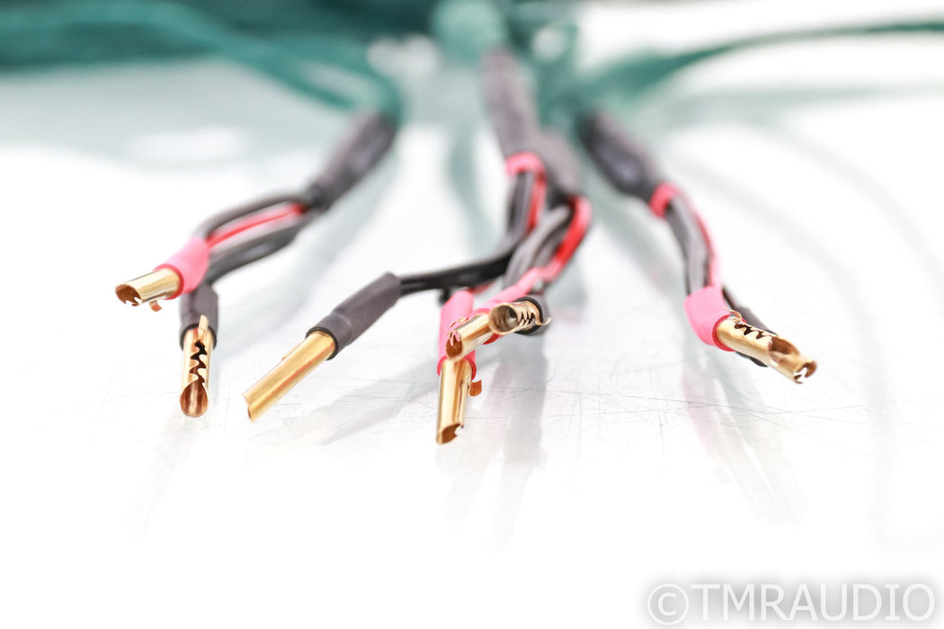 Auditorium 23 Speaker Cables; 3.3m Pair
