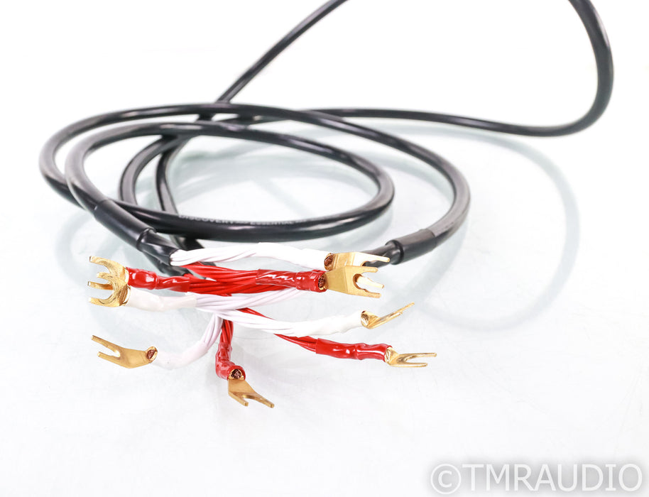 Discovery Essential Speaker Cables; 1.7m Pair