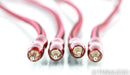 AudioQuest King Cobra RCA Cables; 2m Pair