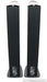 GoldenEar Triton One Floorstanding Speakers; Pair - Excellent