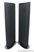 GoldenEar Triton One Floorstanding Speakers; Pair - Excellent