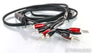 AudioQuest Rocket 88 Silver Plated Speaker Cables; 10ft Pair; 72v DBS