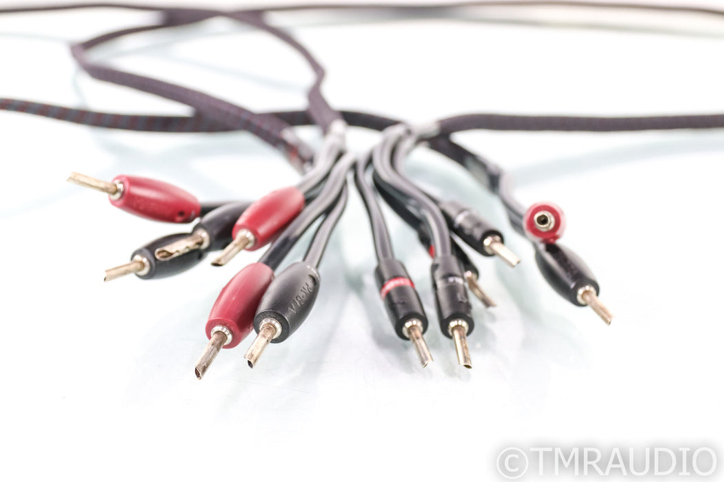 AudioQuest Rocket 33 Bi-Wire Speaker Cables; 10ft Pair