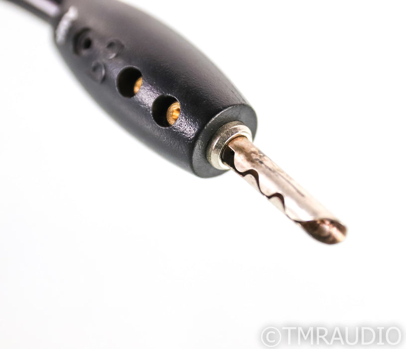 AudioQuest Rocket 33 Bi-Wire Speaker Cables; 10ft Pair