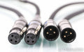 WireWorld Silver Eclipse 6 XLR Cables; 2m Pair Balanced Interconnects
