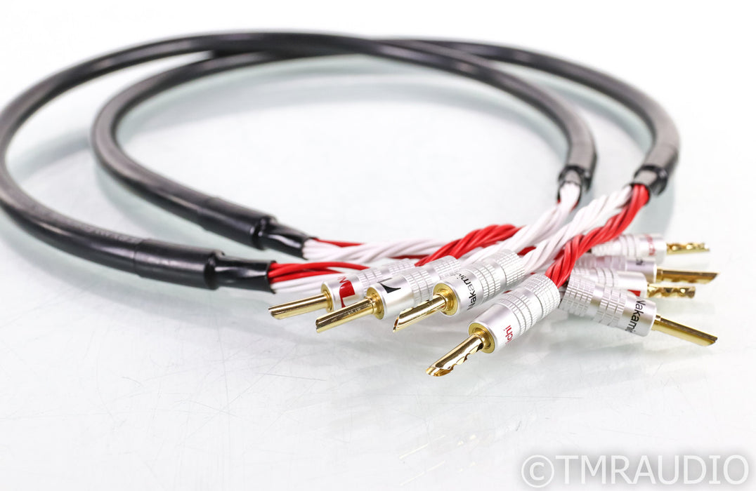 Discovery Cable Essential Speaker Cables; 1m Pair