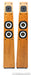 Avalon Acoustics Symbol Floorstanding Speakers; Cherry Pair