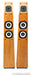 Avalon Acoustics Symbol Floorstanding Speakers; Cherry Pair