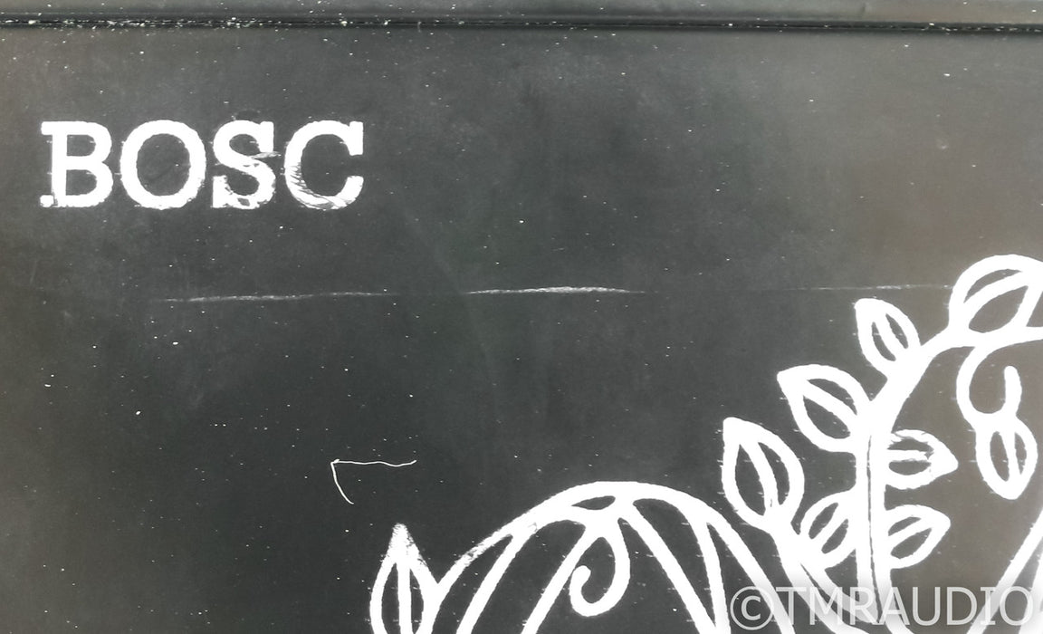Orchard Audio BOSC Mono Power Amplifier
