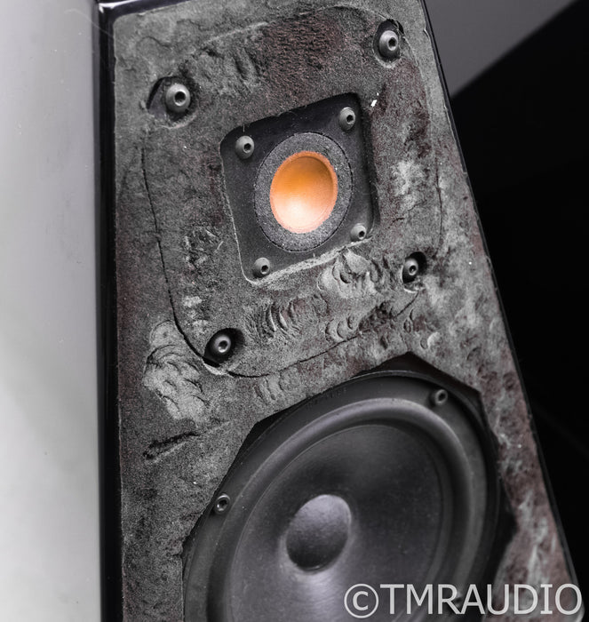 Wilson Audio WATT 2 / Puppy 1 Floorstanding Speakers
