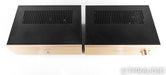Canary Audio MC10 Tube MC Phono Preamplifier