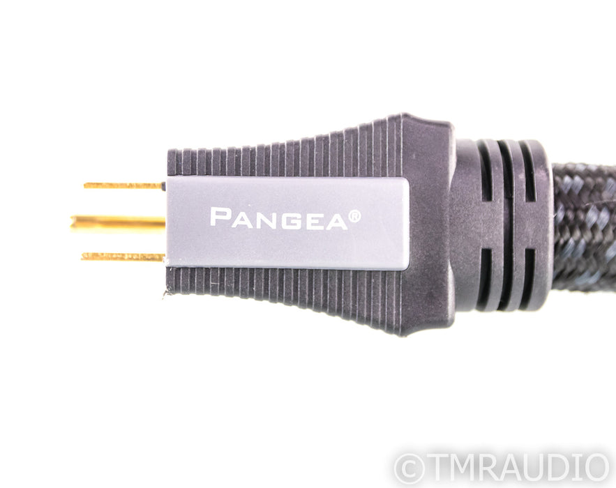 Pangea AC-9 SE MKII Power Cable; 1.5m AC Cord
