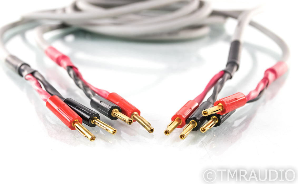 MIT Terminator Speaker Cables; 4m Pair