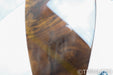 Raidho C 1.1 Bookshelf Speakers; C1.1; Walnut Pair w/ Stands
