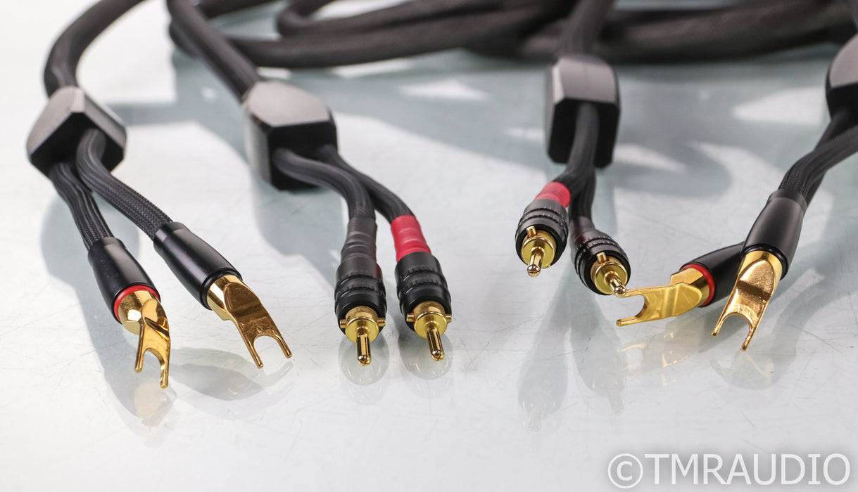 Transparent Reference MM2 Speaker Cables; RSC25; 25ft Pair