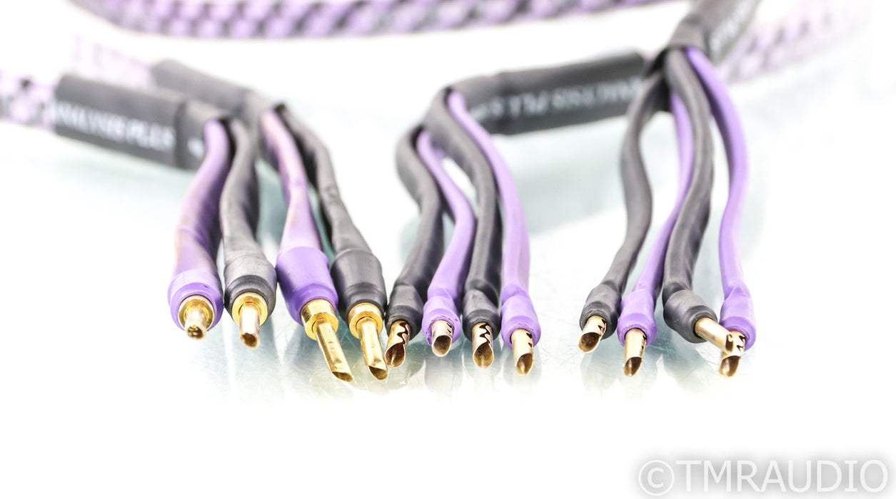 Analysis Plus Solo Crystal Oval Bi-Wire Speaker Cables; 8ft Pair