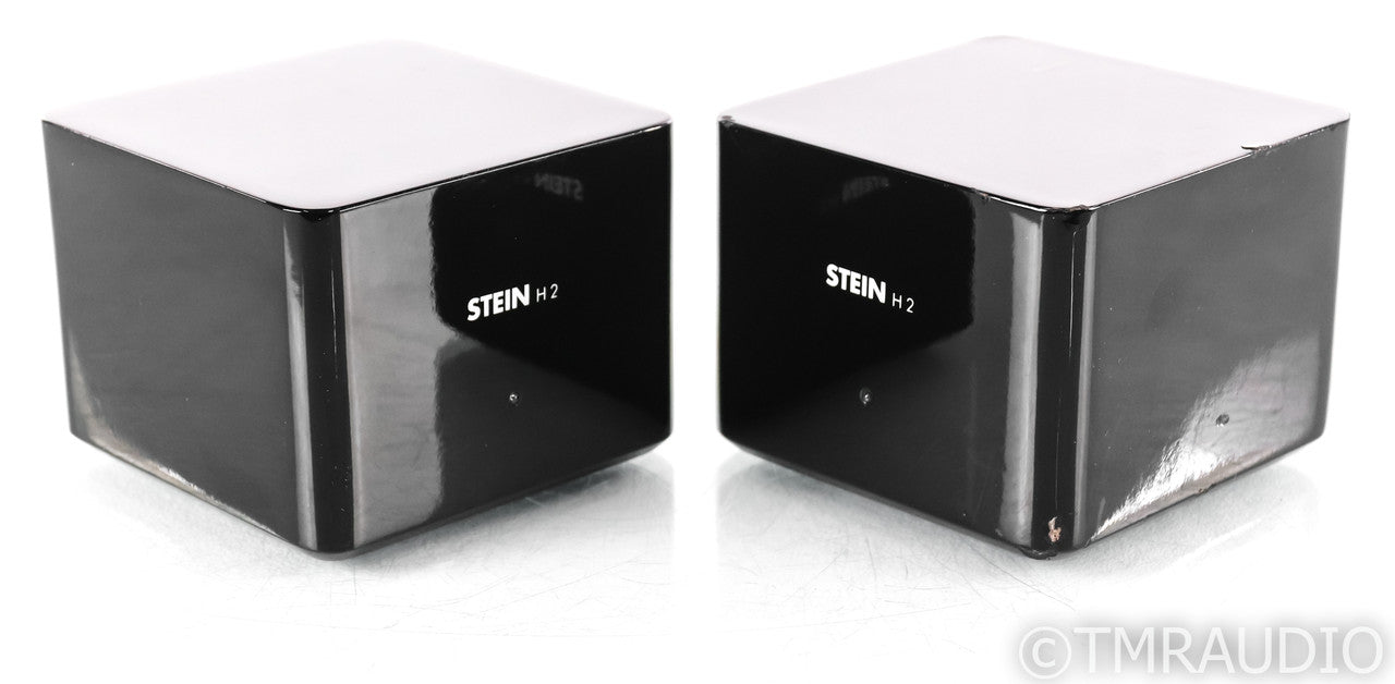 Stein Music H2 Acoustic Harmonizer System; H-2; Black A-B Pair