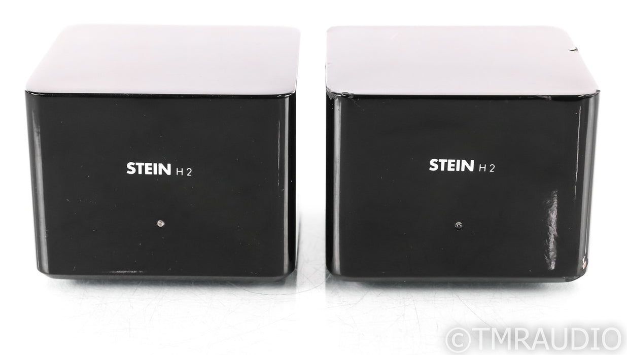 Stein Music H2 Acoustic Harmonizer System; H-2; Black A-B Pair