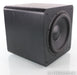 SVS SB-2000 12" Powered Subwoofer; SB2000; Black Ash