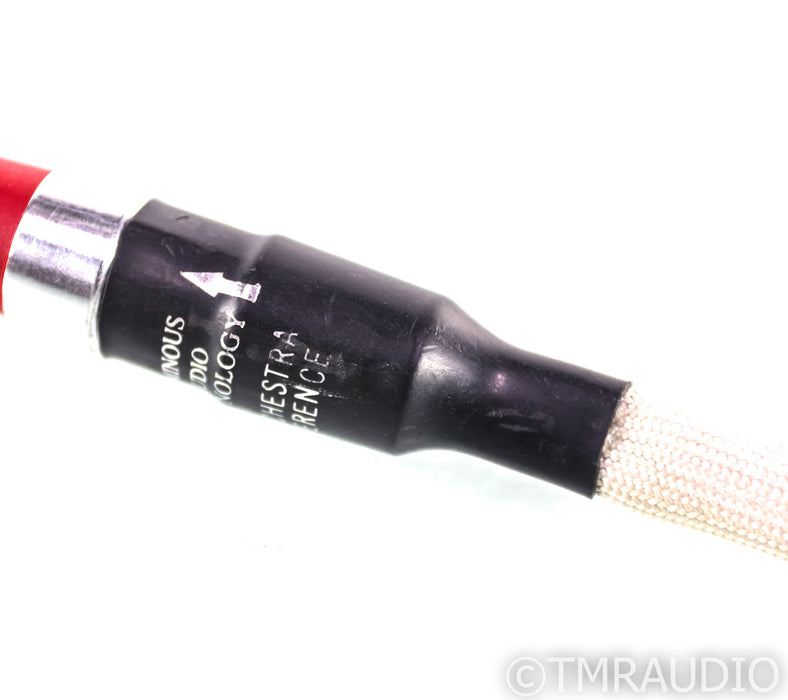 Luminous Audio Technology Synchestra Reference RCA Cables; 1m Pair Interconnects