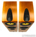 B&W 704 Floorstanding Speakers; Cherrywood Pair