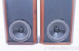 Allison Acoustics Model One