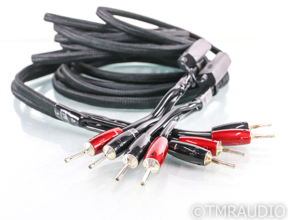 AudioQuest Rocket 88 Silver Plated Speaker Cables; 19ft Pair; 72v DBS