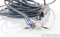 AudioQuest Husky Subwoofer Cable; Single 8m Cable; 72v DBS