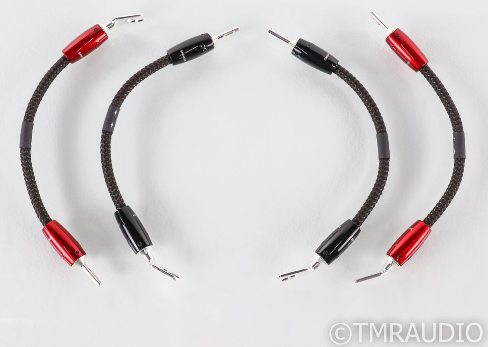 AudioQuest Saturn PSC+ Bi-Wire Speaker Jumpers; Set of Four (Open Box)