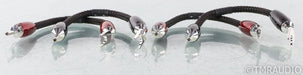 AudioQuest Saturn PSC+ Bi-Wire Speaker Jumpers; Set of Four (Open Box)