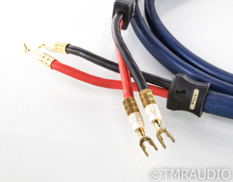 PS Audio Xstream Plus Speaker Cable; Single 4m Cable