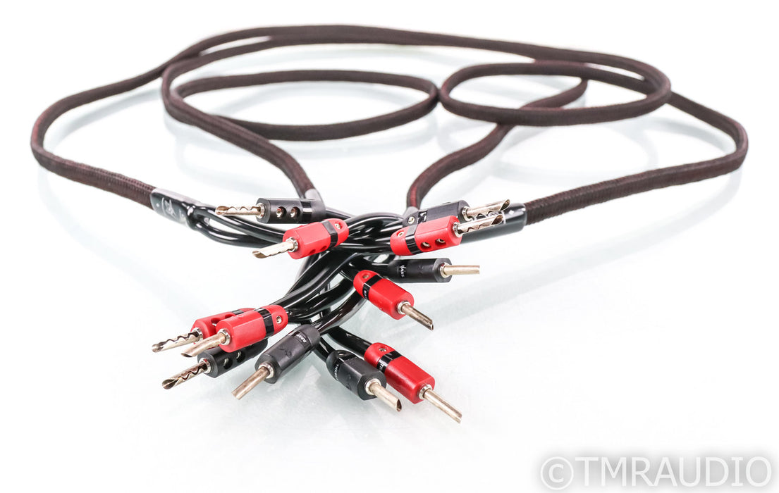 AudioQuest Rocket 33 Bi-Wire Speaker Cables; 8ft Pair